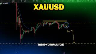 USDJPY Analysis Today : Trend Following Trading Strategy