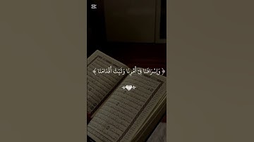 قران كريم تلاوه خاشعه ♥ #اكسبلور #الهلال #لايك