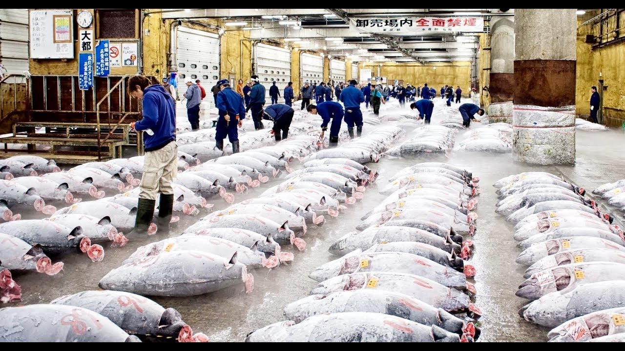 Saudi Arab Fish Market Fish MarketFish market in Saudi Arab YouTube