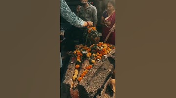 Mahashivratri status video 💫 shivratri status ☘️ Shiv Parvati status #mahadev