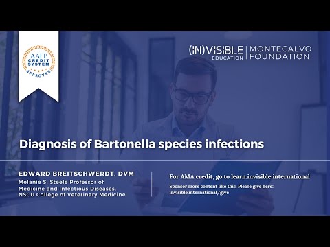 Video: Bartonella-infektion Hos Hundar