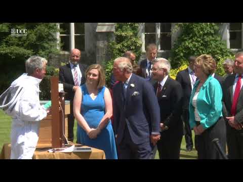 royal-visit-to-university-college-cork