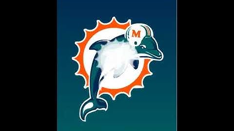 Motion Graphics Ad (Dolphins / 1)