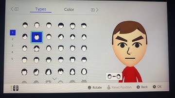 Switch Sports / Switch Sports Resort Fan CPU Mii Malique