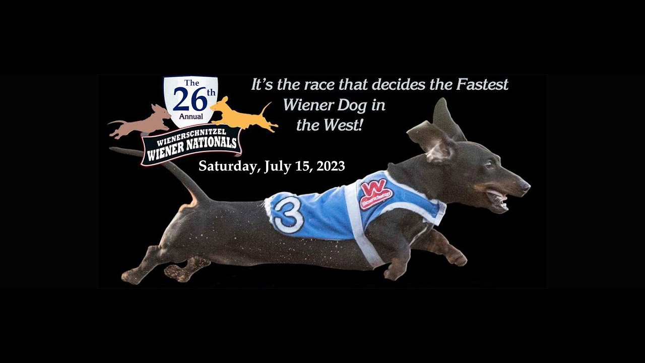 Los Alamitos Preview Show - Wiener Nationals Night 