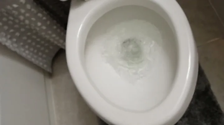 Bubble up when flushed down guest bathroom - Ameri...