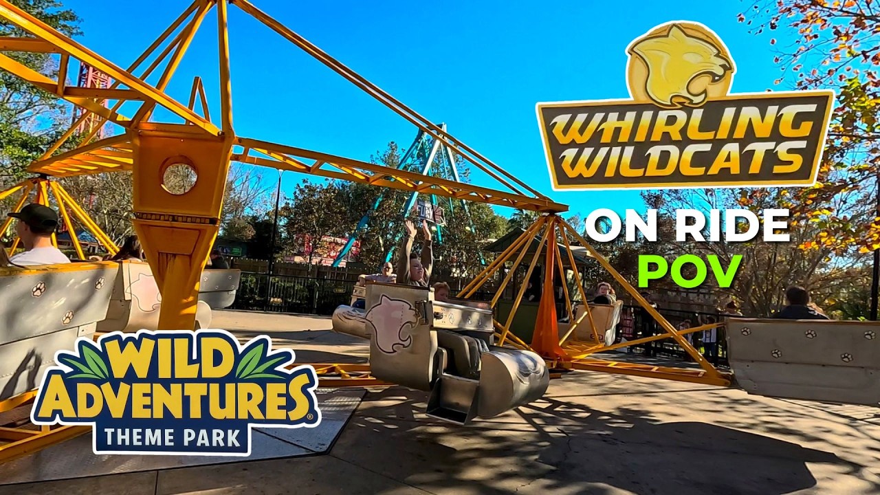 Whirling Wildcats On-Ride POV [4K] | Wild Adventures - YouTube