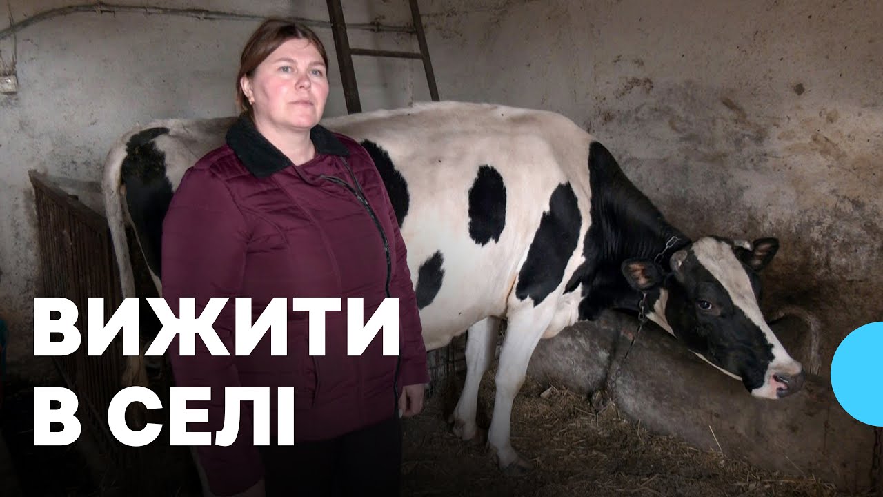 Як живуть і господарюють у селі Романів на Волині