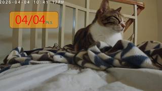 24小時直播精華｜0404-3