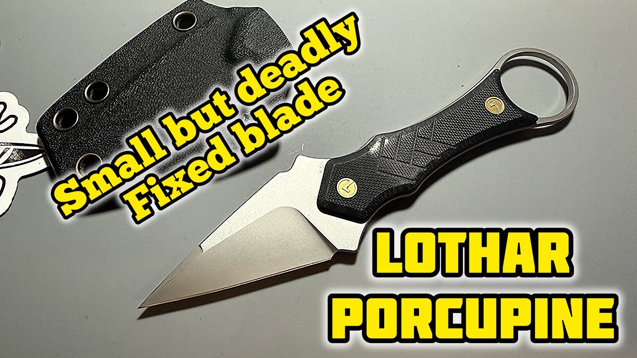Lothar Porcupine | My thoughts after 2 months carrying…