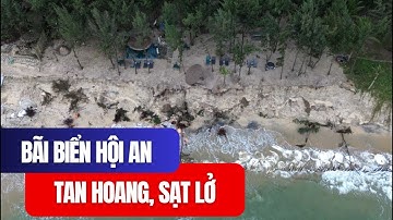 🌊 Bờ biển Hội An sạt lở nghiêm trọng, công trình ven biển nguy cơ bị cuốn trôi