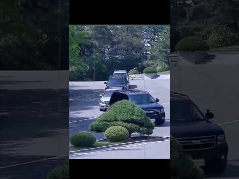 feeding our SEOUL! 🇰🇷 | eating our way through the day (hotteok, corn dogs \u0026 more)”