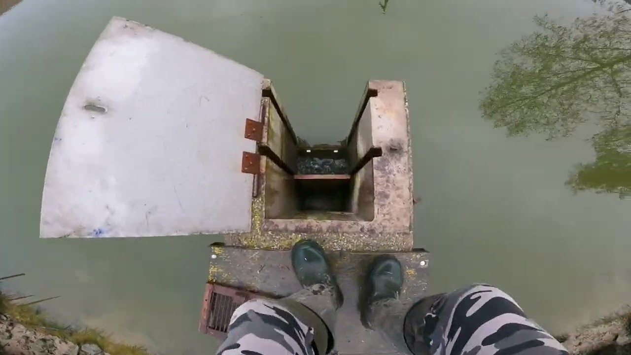 Výlov komorového rybníku Trávníček (2024). Přes 2q ryb!!!!!.