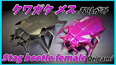 リアル折り紙のクワガタ