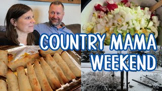 PANCAKES, POTATO SALAD, LEMON TORTE, AND RESPONDING TO YOUR COMMENTS | Country Mama Weekend