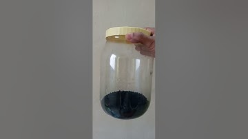 Conducting (Doped) Polyaniline - Powder Form