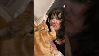 Cat Pushes Away Girl’s Kiss Attempt