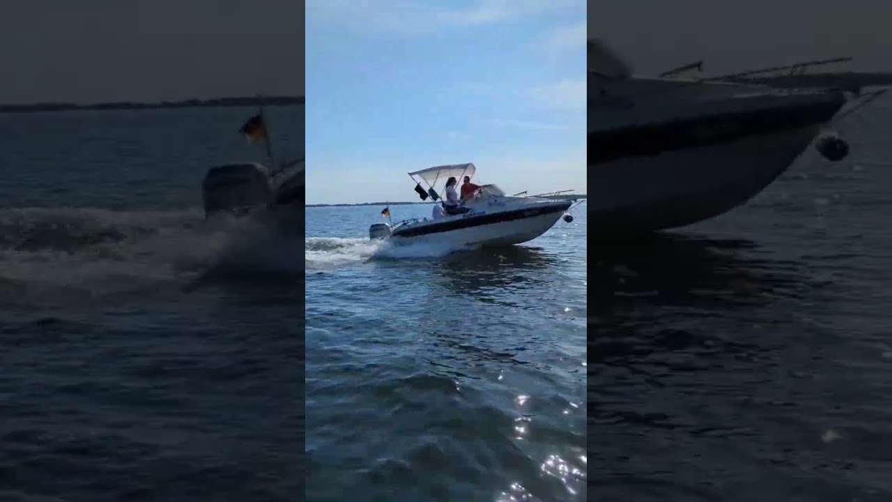 740 High Performence - Sessa Oyster 18