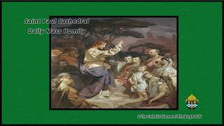 Saint Paul Cathedral-Daily Mass Homily-Rev. Steven M. Palsa-July 29, 2026.