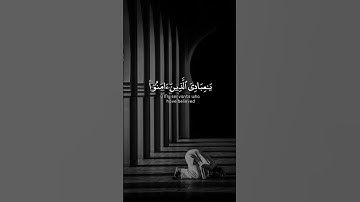 QS |  القارئ عبدالرحمن مسعد | تلاوة سوره العنكبوت | يا عبادي الذين آمنوا إن أرضي واسعة فإياي فاعبدون