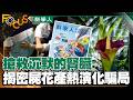 搶救沉默腎臟迎腎利轉型 揭密屍花產熱演化騙局｜FOCUS世界新聞 X 科學人雜誌｜FOCUS全球新聞 20260612 @tvbsfocus