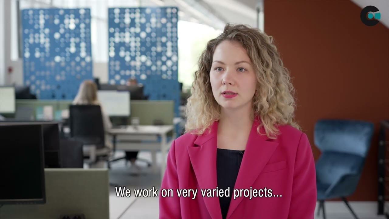 Working at Company.info - Arina teaser