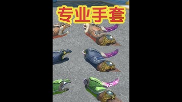 CS2专业手套挑选指南，全部12款专业手套购买建议+推荐磨损 本期视频苏哥给大家盘点介绍一下CS2专业手套。全部12款专业手套挑选指南，以及专业手套购买建议。包含：专业手套深红之网，专业手套深红和服