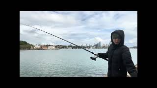 Fishing alone in Sydney @dayuatulife4827