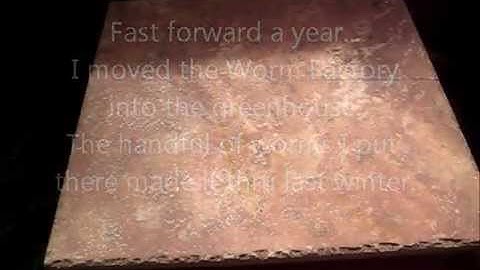 Worm Factory Update 1