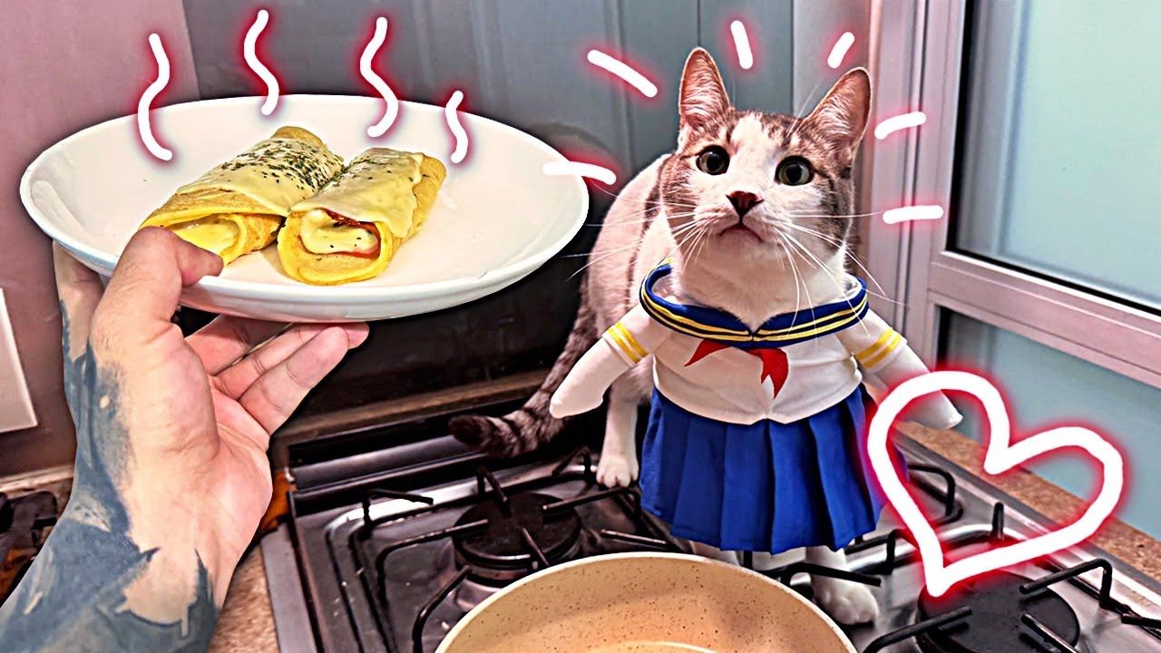 Noite de panquecas e comprei roupa para os meus gatos kk