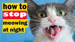 How to stop cats from meowing at night, how to stop cats meowing at night