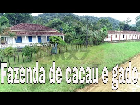 Fazenda de 205