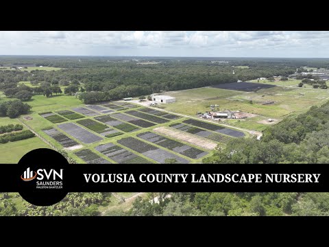 Volusia County Landscape Nursery | 23 ± Acres | Farm & Nursery | For Sale in DeLand, Florida