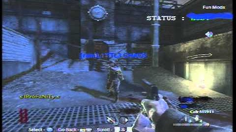 CoD WaW ToXiiCiTY v1 Mods