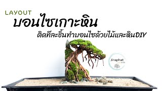 สร้างLayoutต้นบอนไซเกาะหินตู้ปลา