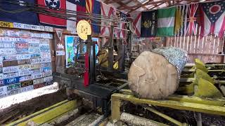 sawing two nice Ambrosia Maple logs # 547 by mark galicic 29,219 views 10 days ago 23 minutes