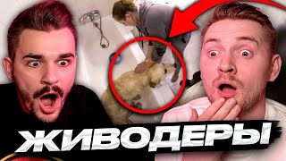 видео: Чистка животных - Черный список картинка: Чистка животных - Черный список