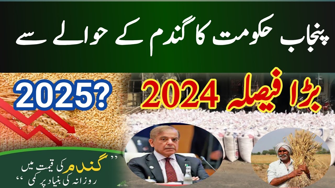 wheat price today 2024| gandam rate new 2025 - YouTube