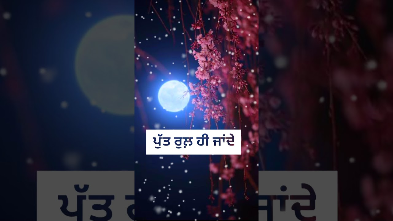 Bebe❤️ Bapu? love✌️ new WhatsApp status video || new Punjabi song whatsapp status video || status