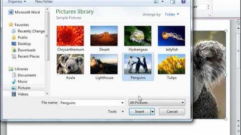Word 2010 Tutorial Using Picture Tools-2010 Microsoft Training Lesson 12.3