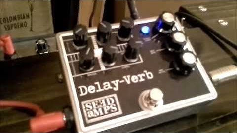 Delay-Verb Pedal PT2399