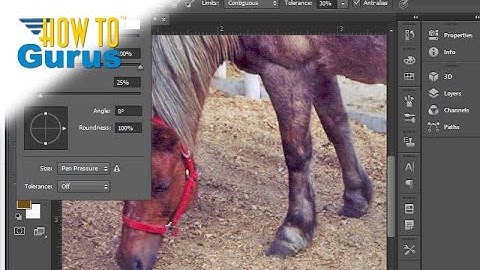 How to Use the Adobe Photoshop Paintbrush - CS5 CS6 CC Painting Tutorial