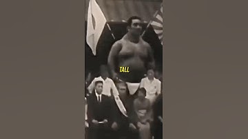 Joe Rogan Reacts To Real Giant Footage