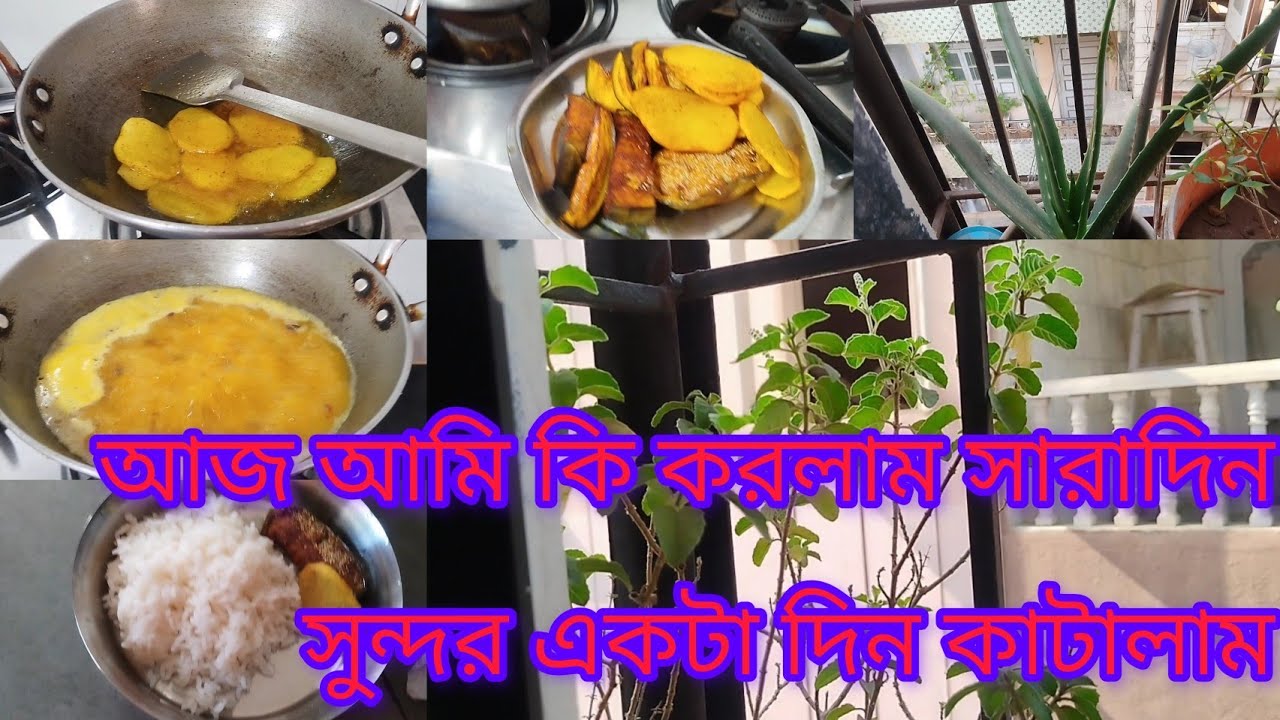 হঠাৎ করেই আজকে আমাদের জল শেষ হয়ে গেলো 🤔🤦‍♀️ কি রান্না করলাম//bengali_Recipe//kabitalifestylevlog//