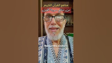 منافع سورة الفيل