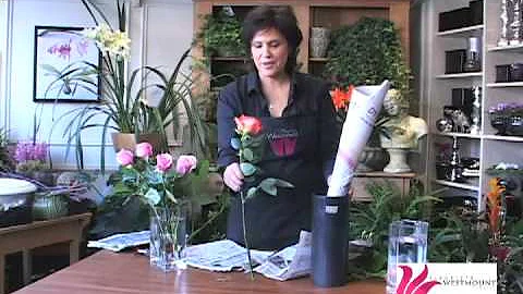 How To Fix A Droopy Rose