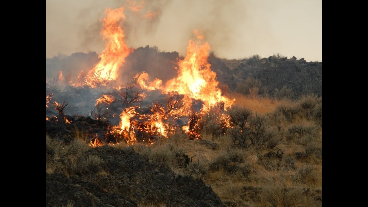 How Do I Become A Wildland Fire Fighter YouTube