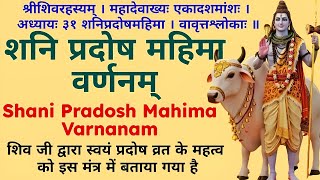 समस्त मनोकामनाओं की पूर्ति||शनि प्रदोष महिमा वर्णनम् ||Shani Pradosh Mahima Varnanam