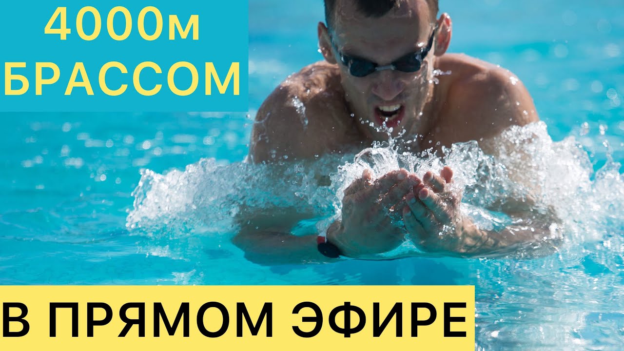 Как плавать брассом 4000м? Заплыв брассом в прямом эфире - YouTube