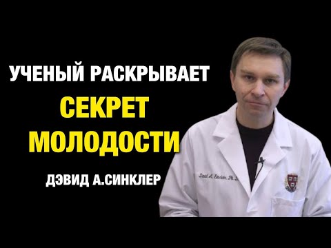 Ешьте Это Утром И Увидите Чудеса В Своём Здоровье Дэвид А Синклер